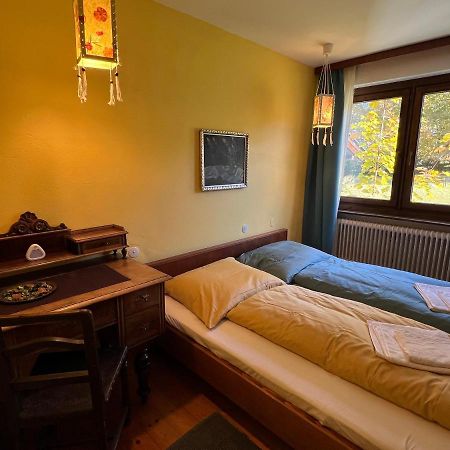 Apartmán Haus Im Gruenen Saalfelden Exteriér fotografie